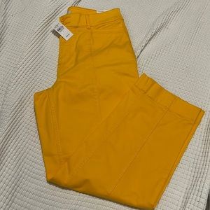 NWT- LOFT-  10. High Rise Straight